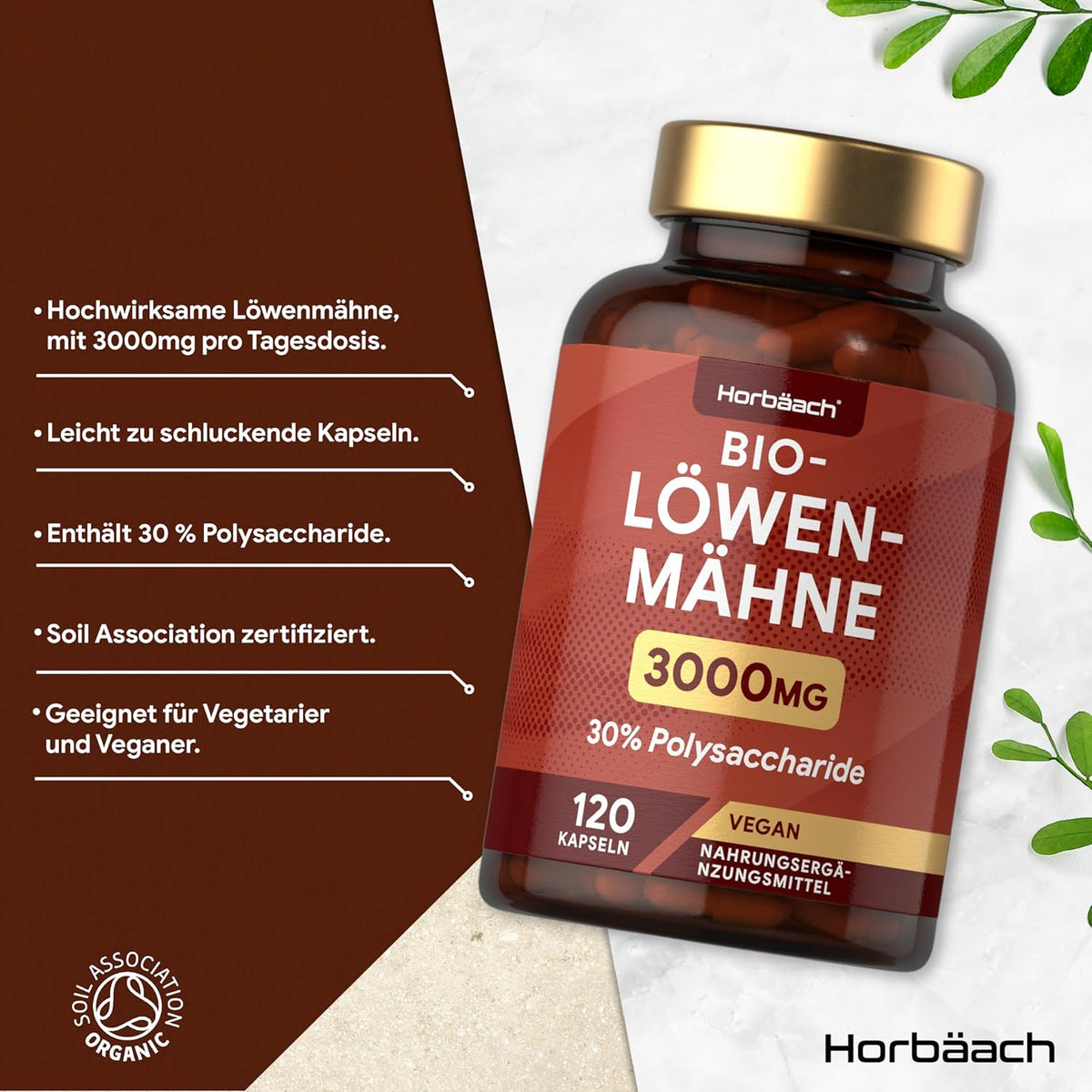 Horbaach Lions Mane 3000mg · 120 Kapseln – Bild 2