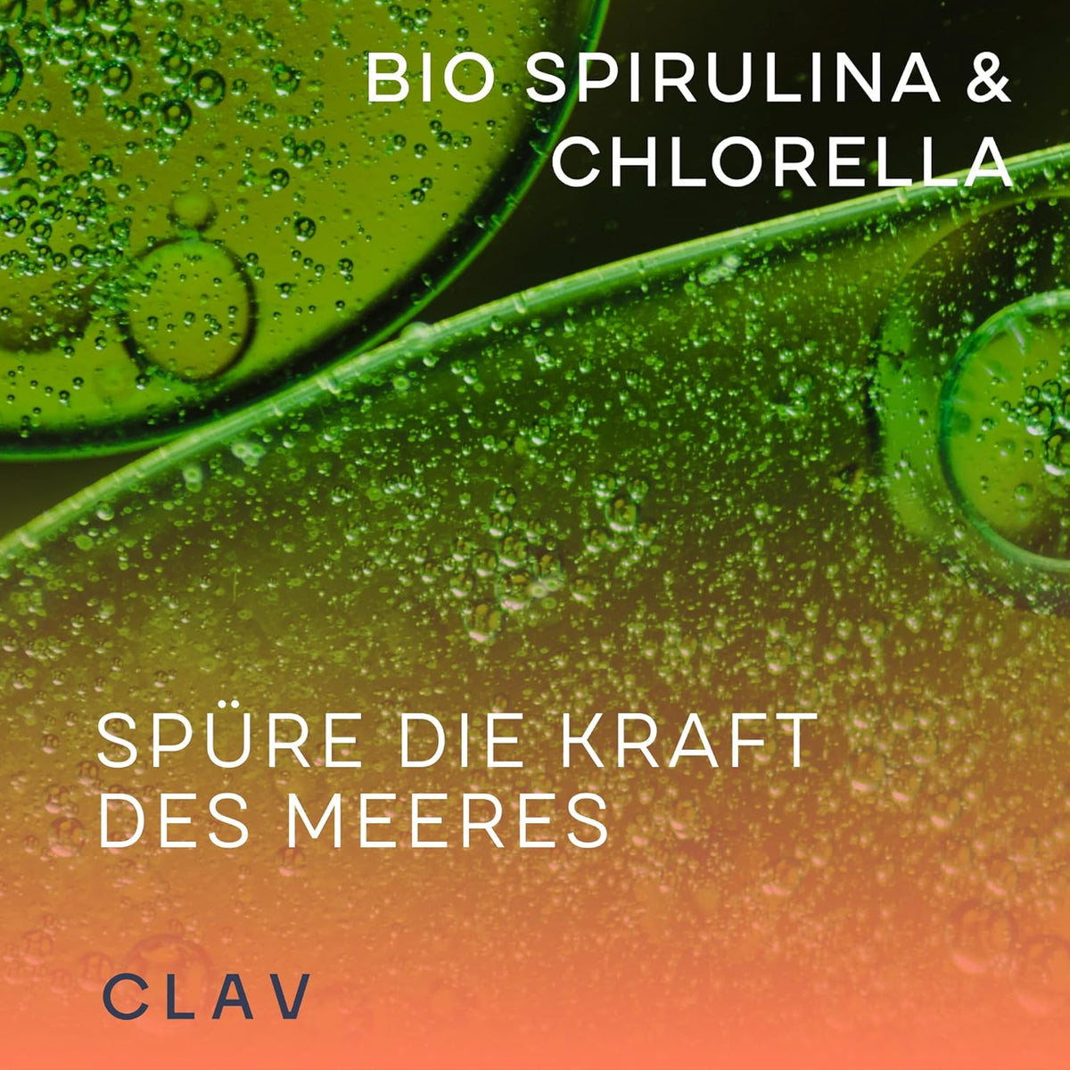 Clav Bio Spirulina & Chlorella · Premium Algen Pulver Tabletten – Bild 2