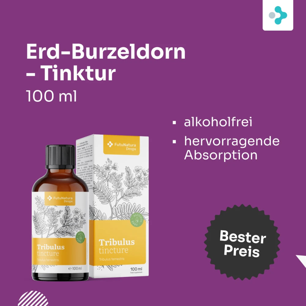 FutuNatura | Erd-Burzeldorn – Tinktur - 100 ml