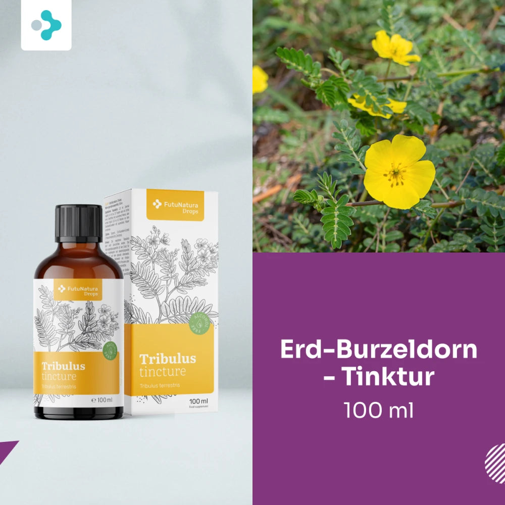 FutuNatura | Erd-Burzeldorn – Tinktur - 100 ml