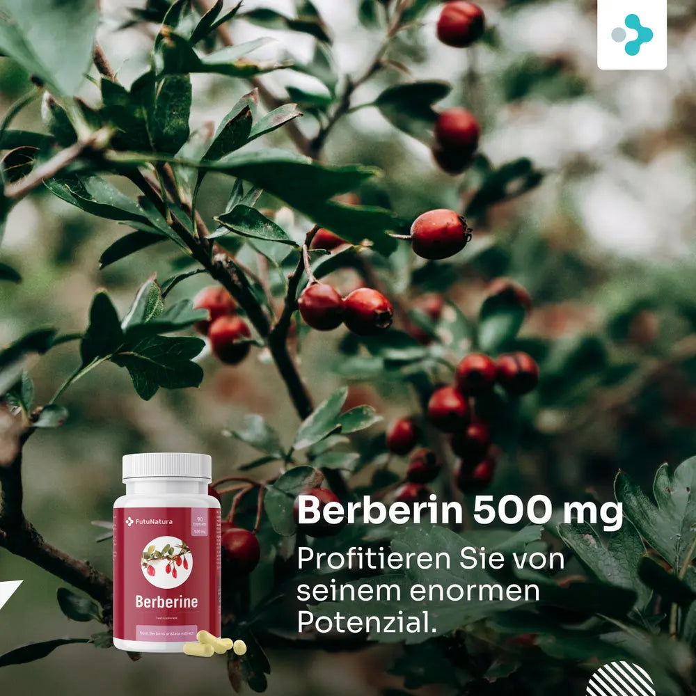 FutuNatura Berberin 500 mg für Blutzuckerkontrolle · 90 Kapseln – Bild 2