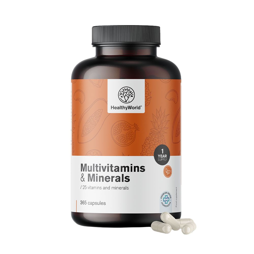 HealthyWorld Multivitamine & Mineralien · 25 Vitamine & Mineralstoffe für Energie, Immunsystem & Vitalität · 365 Kapseln