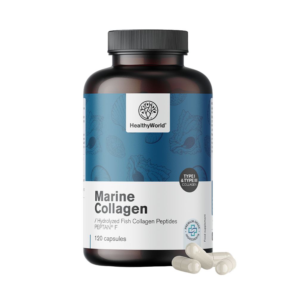 HealthyWorld Meereskollagen 1170 mg für Haare, Haut und Nägel · 120 Kapseln