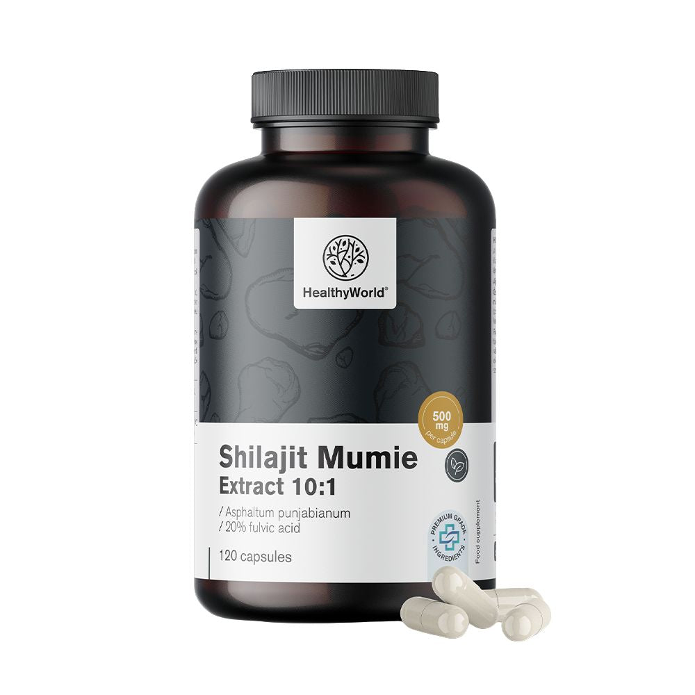 HealthyWorld Shilajit Mumie Extract 10:1 · 120 Kapseln