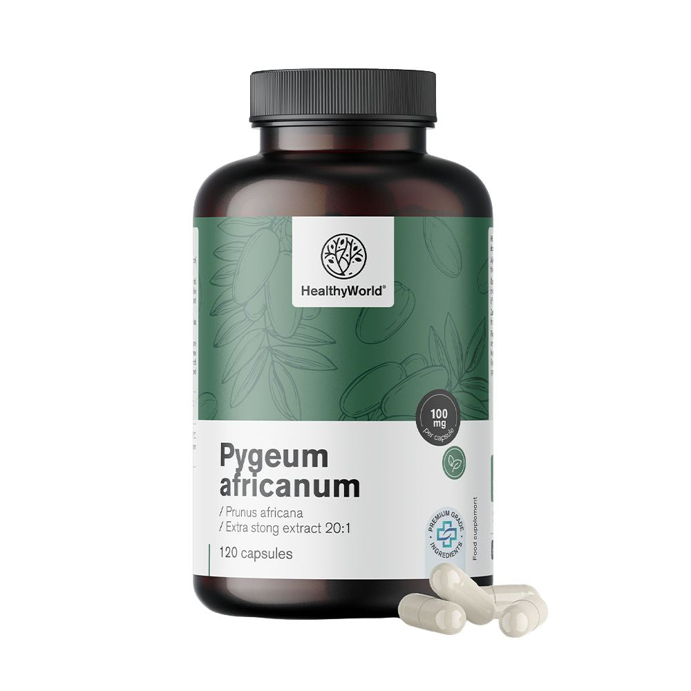 HealthyWorld Pygeum · Extrakt aus afrikanischem Pflaumenbaum · 120 Kapseln