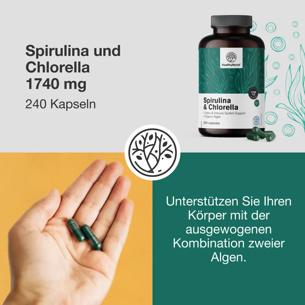 HealthyWorld | Spirulina und Chlorella 1740 mg – BIO Algen-Komplex – 240 Kapseln