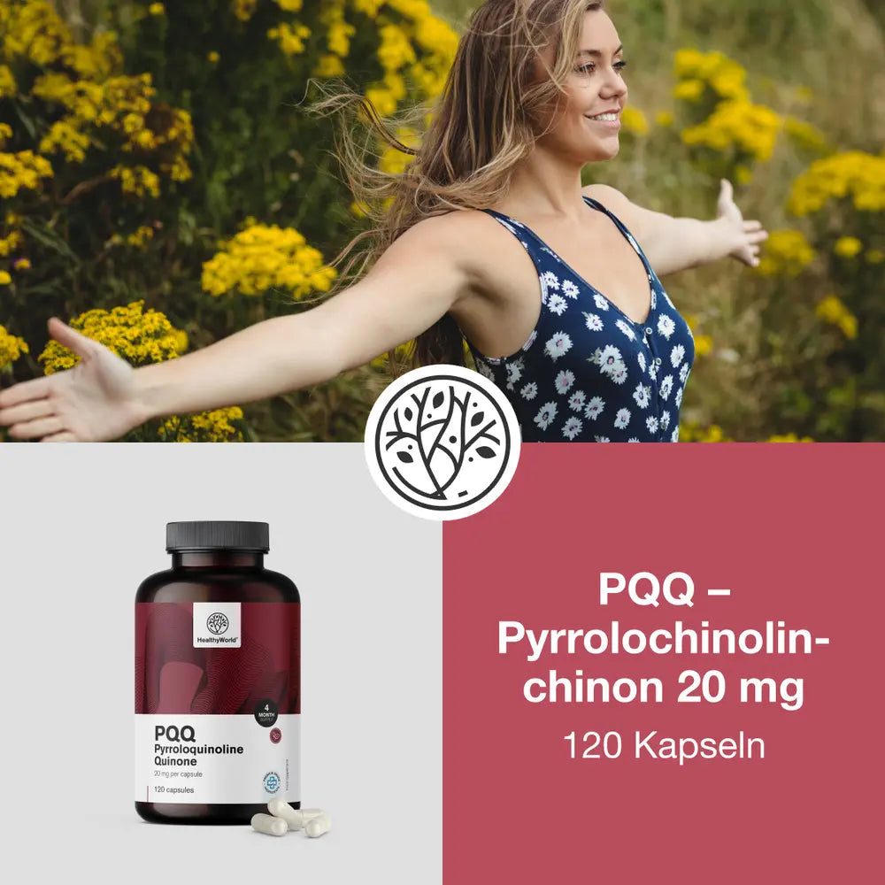 HealthyWorld PQQ · Pyrrolochinolinchinon 20 mg · 120 Kapseln – Bild 2