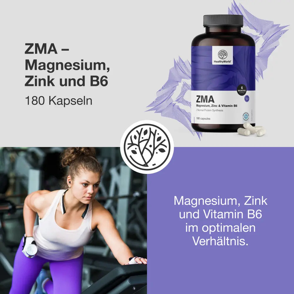 HealthyWorld ZMA · Magnesium, Zink und B6 · 180 Kapseln – Bild 2