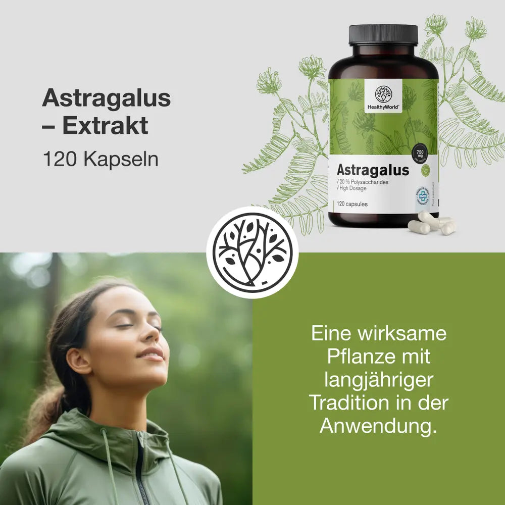 HealthyWorld Astragalus · Extrakt · 90 Kapseln – Bild 2