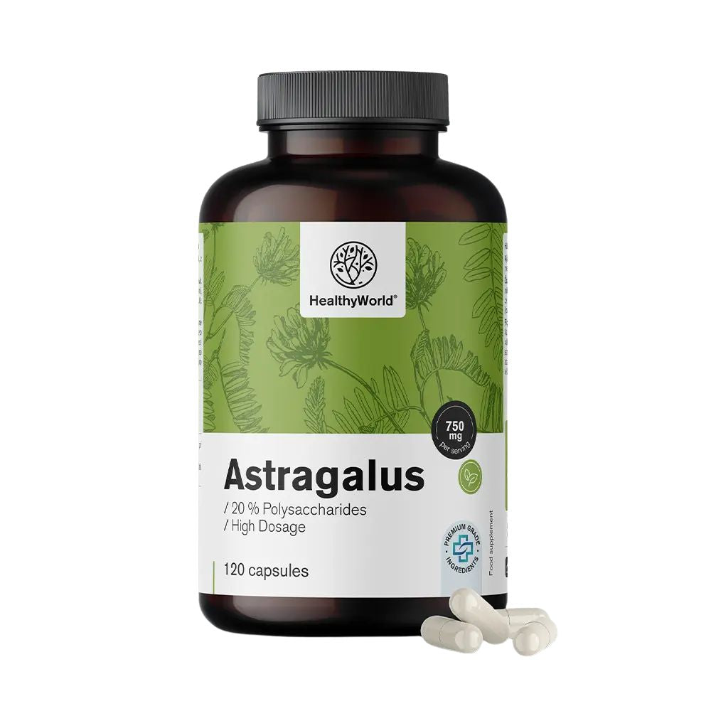 HealthyWorld Astragalus · Extrakt · 90 Kapseln