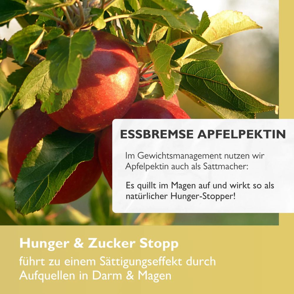 Code Vital Hunger & Zucker Stopp · Programmiere deinen Darm auf schlank! – Bild 4