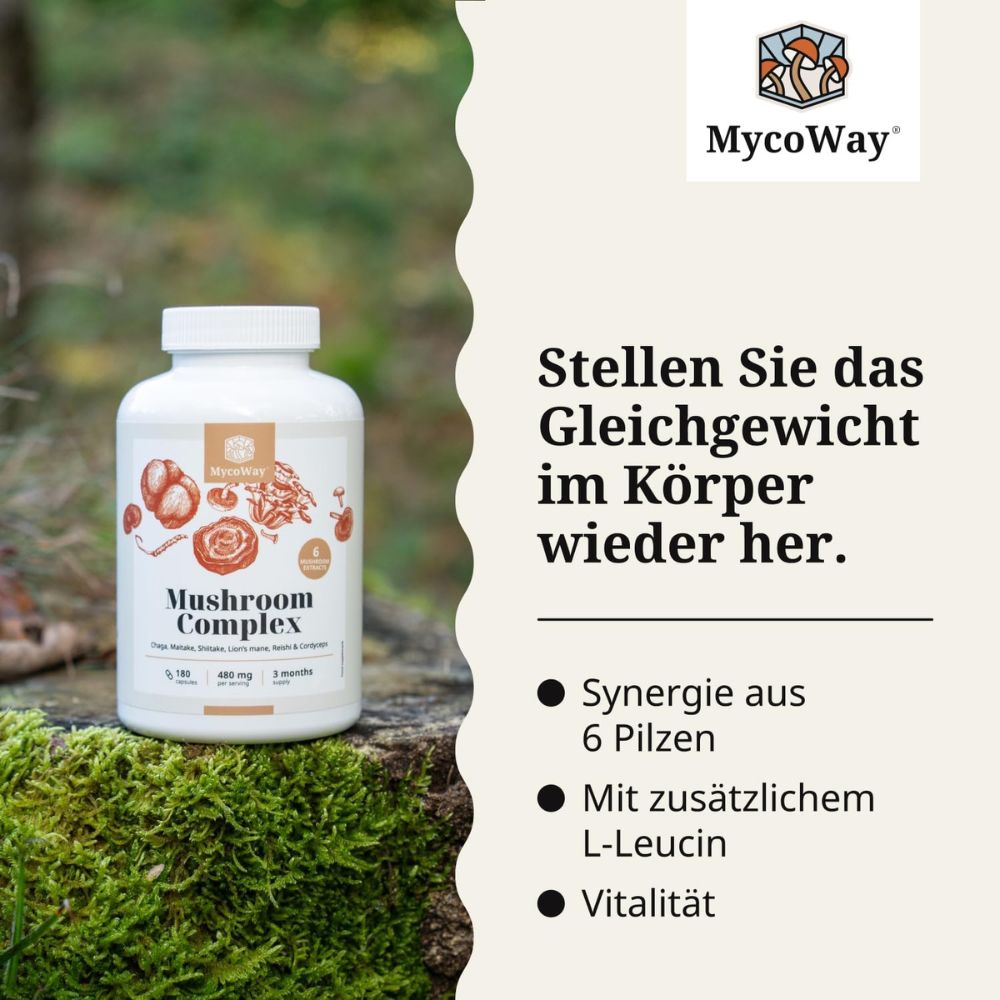 MycoWay Pilzkomplex zur Stärkung und Unterstützung des Körpers · 180 Kapsel – Bild 2