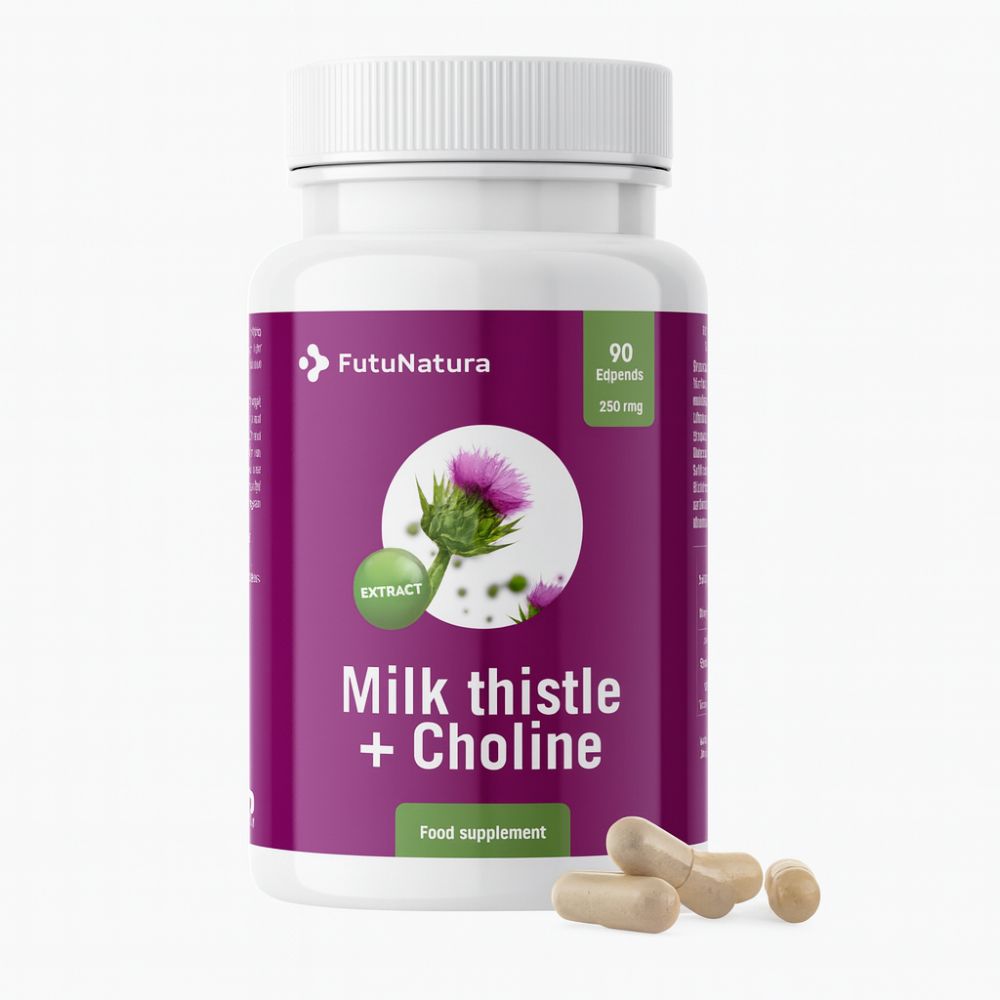 FutuNatura Mariendistel (Silymarin) + Cholin zur Entgiftung der Leber · 90 Kapseln
