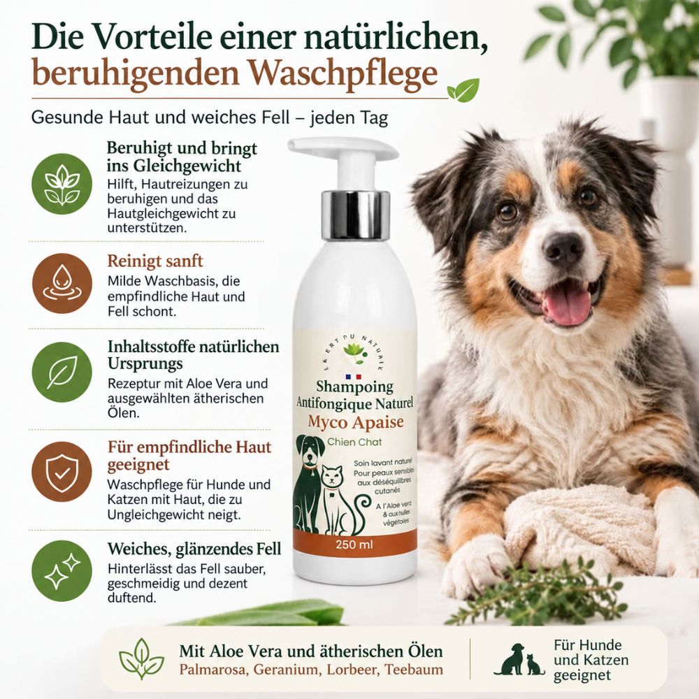 La Phyto d’Anaïs | Myco Apaise – Shampoo für Hunde und Katzen mit Aloe Vera – 250 ml