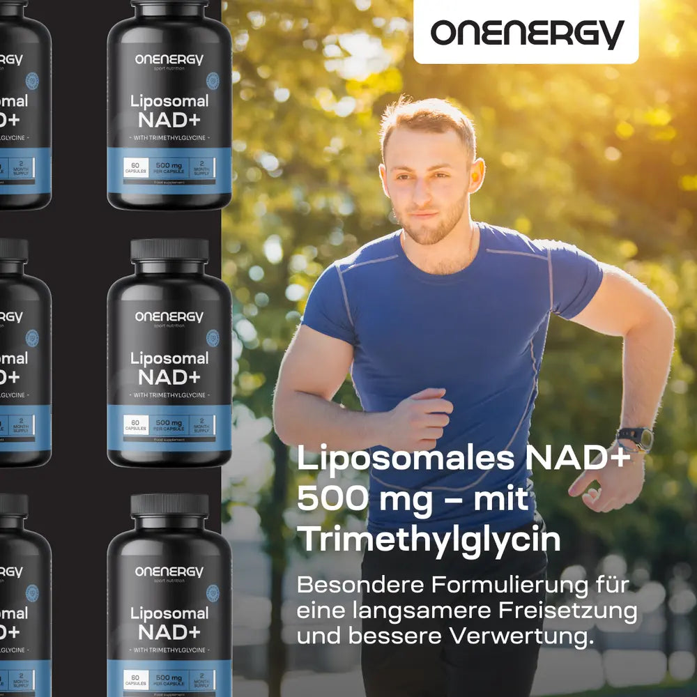 OnEnergy Liposomales NAD+ 500 mg · mit Trimethylglycin · 60 Kapseln – Bild 2