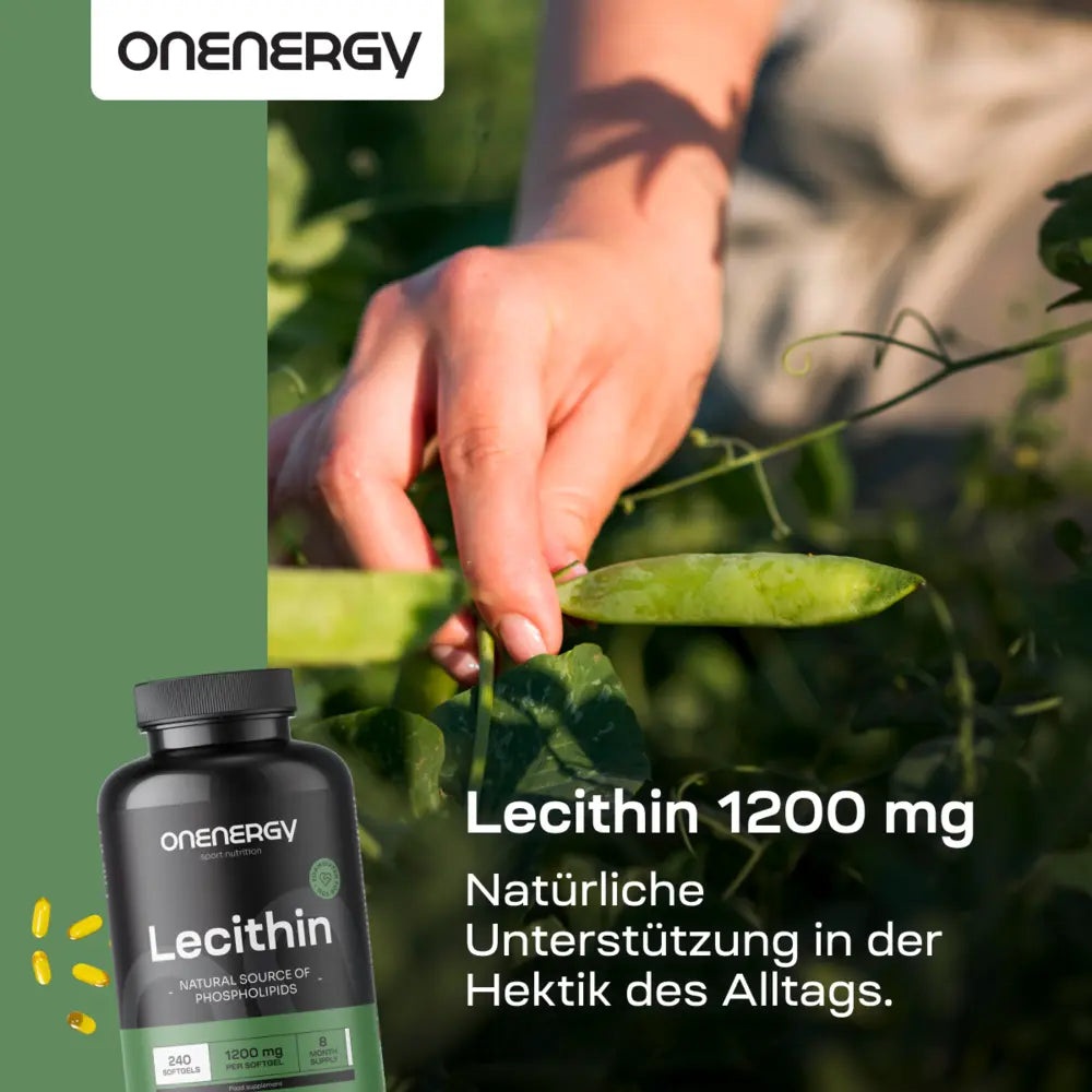 OnEnergy | Lecithin 1200 mg zur Unterstützung des Fettstoffwechsels – 240 Weichkapseln