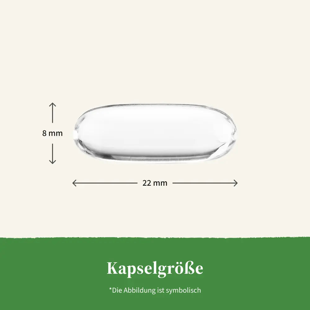 Purely | Veganes Omega-3 1000 mg aus Algen - 60 Weichkapseln
