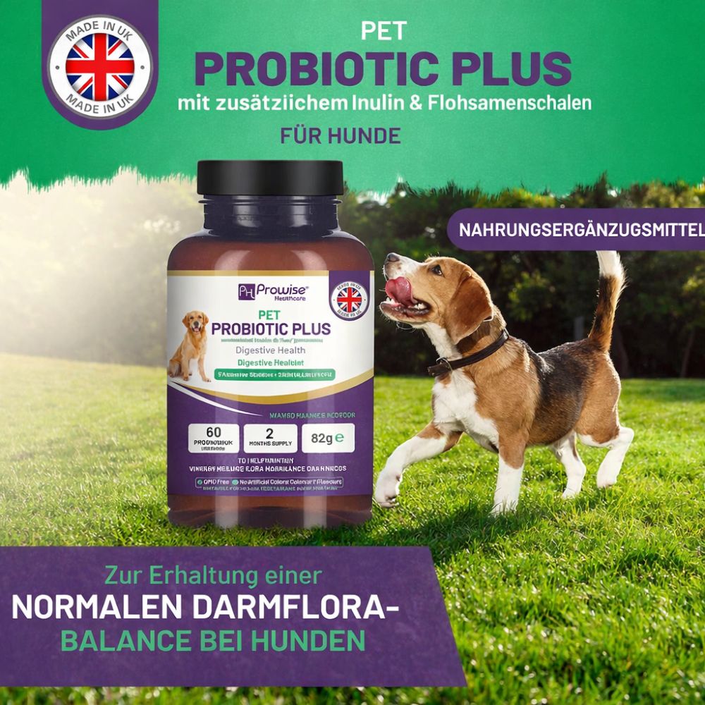 Prowise Healthcare | Pet Probiotic Plus mit Inulin und Flohsamenschalen 2 Milliarden CFU – Bild 3