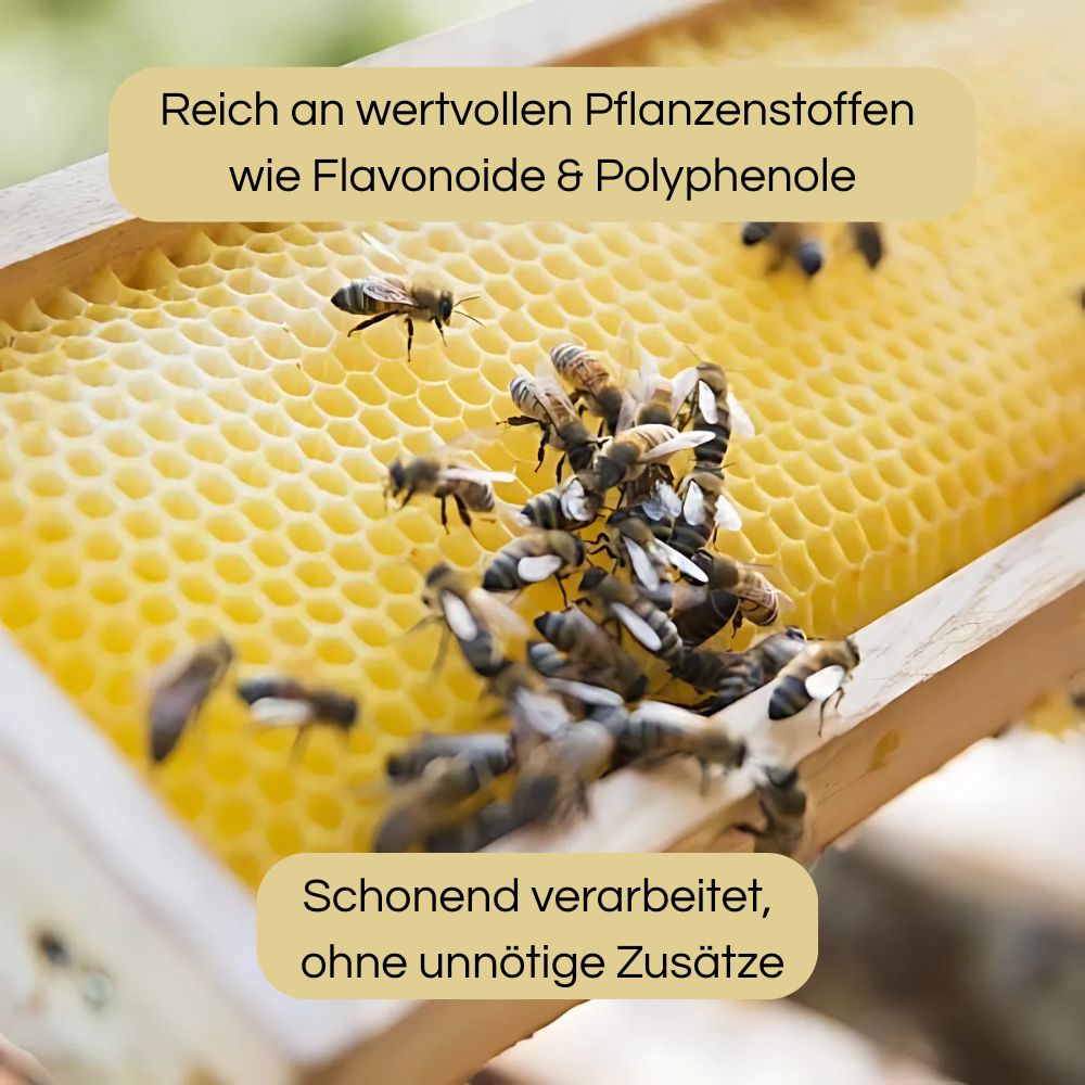 Little Bee Fresh Propolis 320mg Extraktpulver · 60 Kapseln – Bild 2