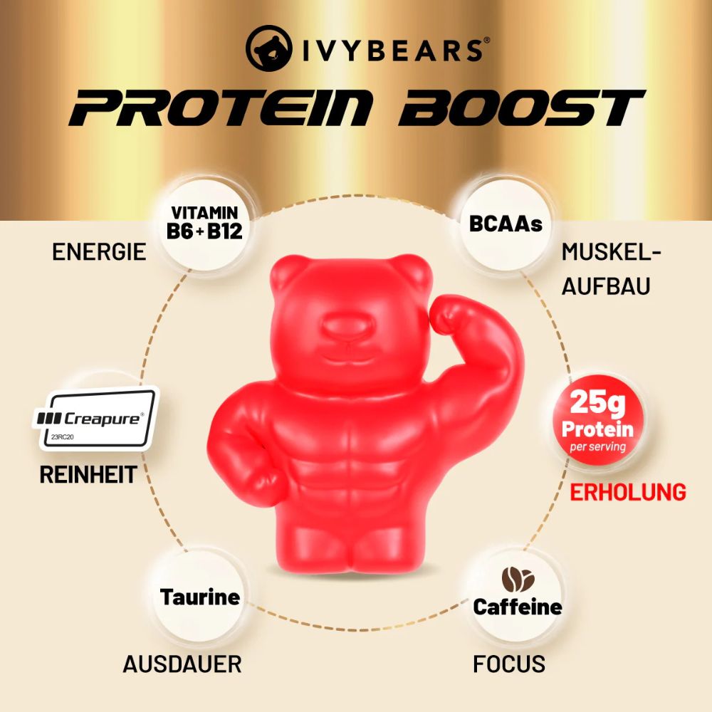IvyBears Protein Boost · Muskelaufbau & Erholungsunterstützung – Bild 2