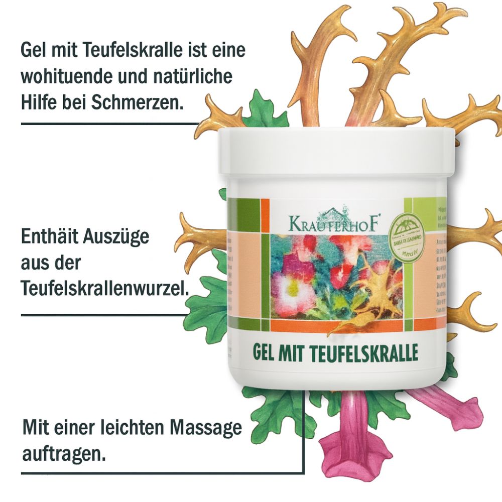 Kräuterhof Teufelskralle Salbe · 500ml – Bild 2
