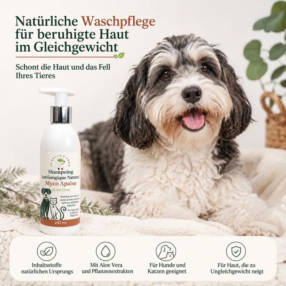 La Phyto d’Anaïs | Myco Apaise – Shampoo für Hunde und Katzen mit Aloe Vera – 250 ml