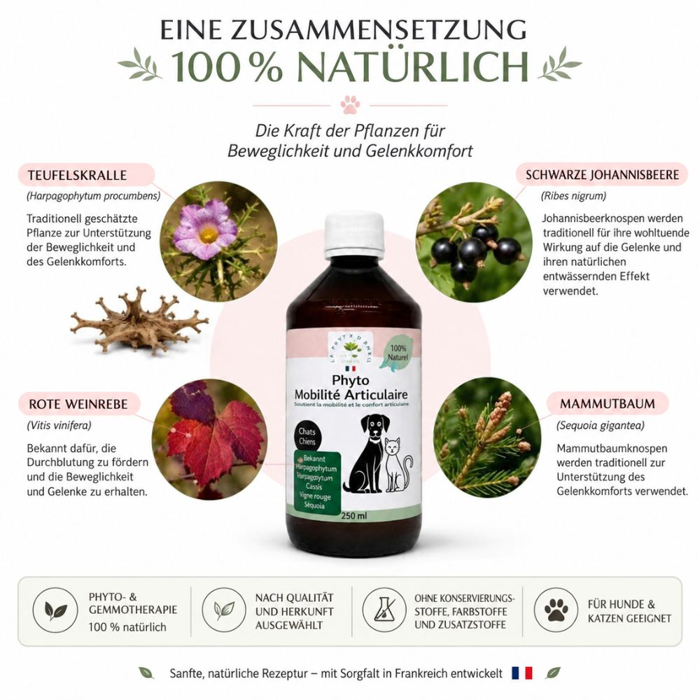 La Phyto d’Anaïs | Phyto Mobilité Articulaire – Gelenkbeweglichkeit für Hunde und Katzen - 250 ml